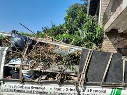 Trusted Mont Alto, PA Junk Removal Services Experts